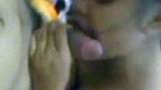Indonesian Amateur Couple Blowjob in Padang
