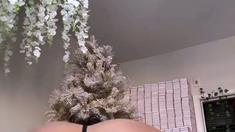 Amateur brunette chick toying her ass and pussy on webcam