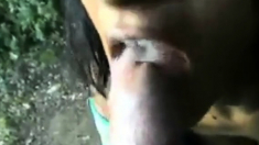 Slut Swallows Cum In The Park