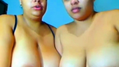 2 busty cousins