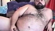 Hairy Chubby Bear Jo1