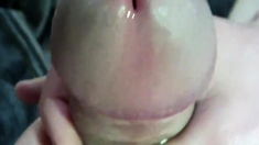 POV Closeup Of My Cock Cumming - Cumshot 11